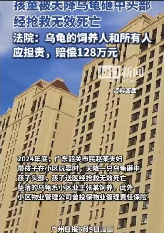 广东韶关，一小孩在小区玩耍时被天降乌龟砸中头部死亡，法院认定饲养人全责，赔128