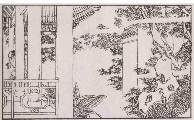 古代，一妻子还在坐月子，男人却带了个漂亮女子回来，迫不及待地纳做小妾。奇怪的是，