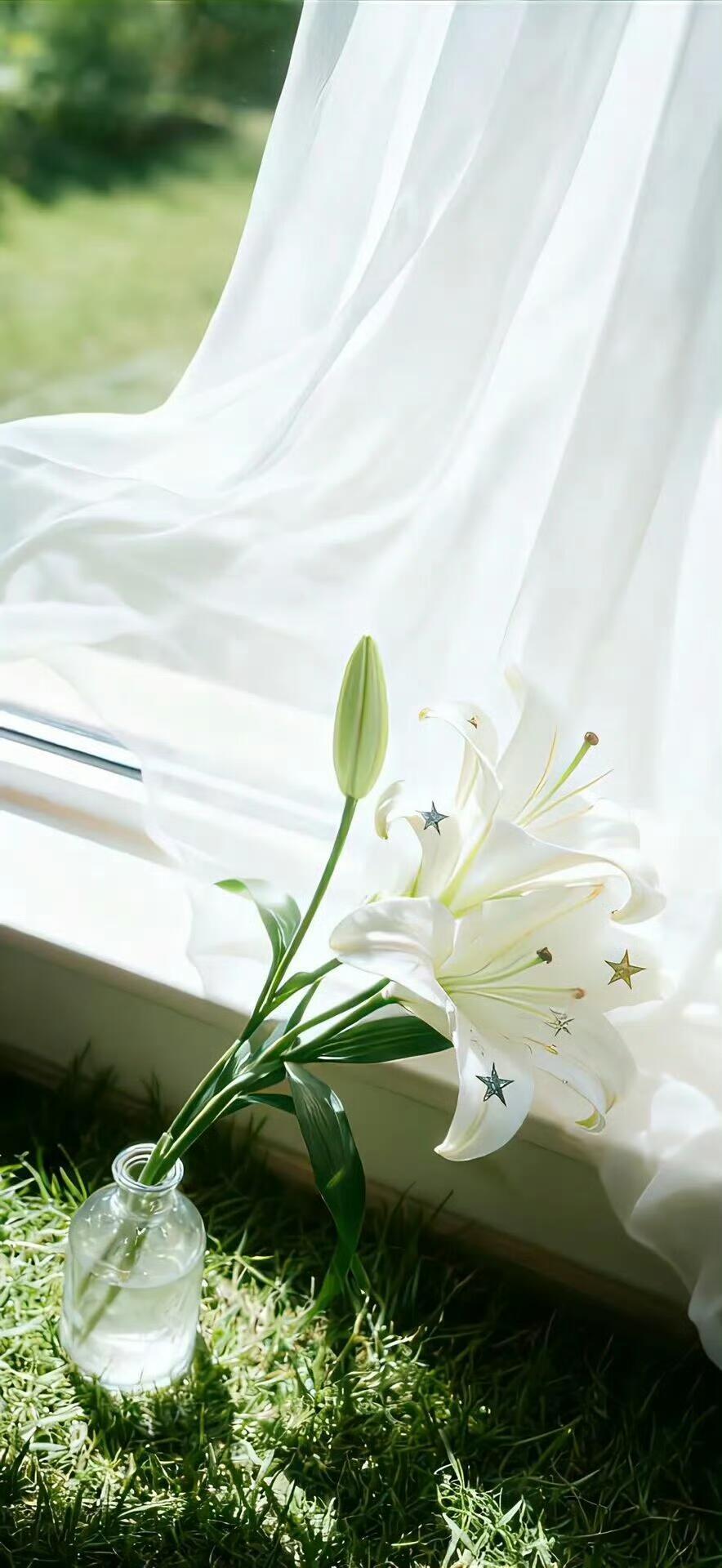 𝒔𝒉𝒂𝒓𝒆｜壁纸分享｜ins风壁纸