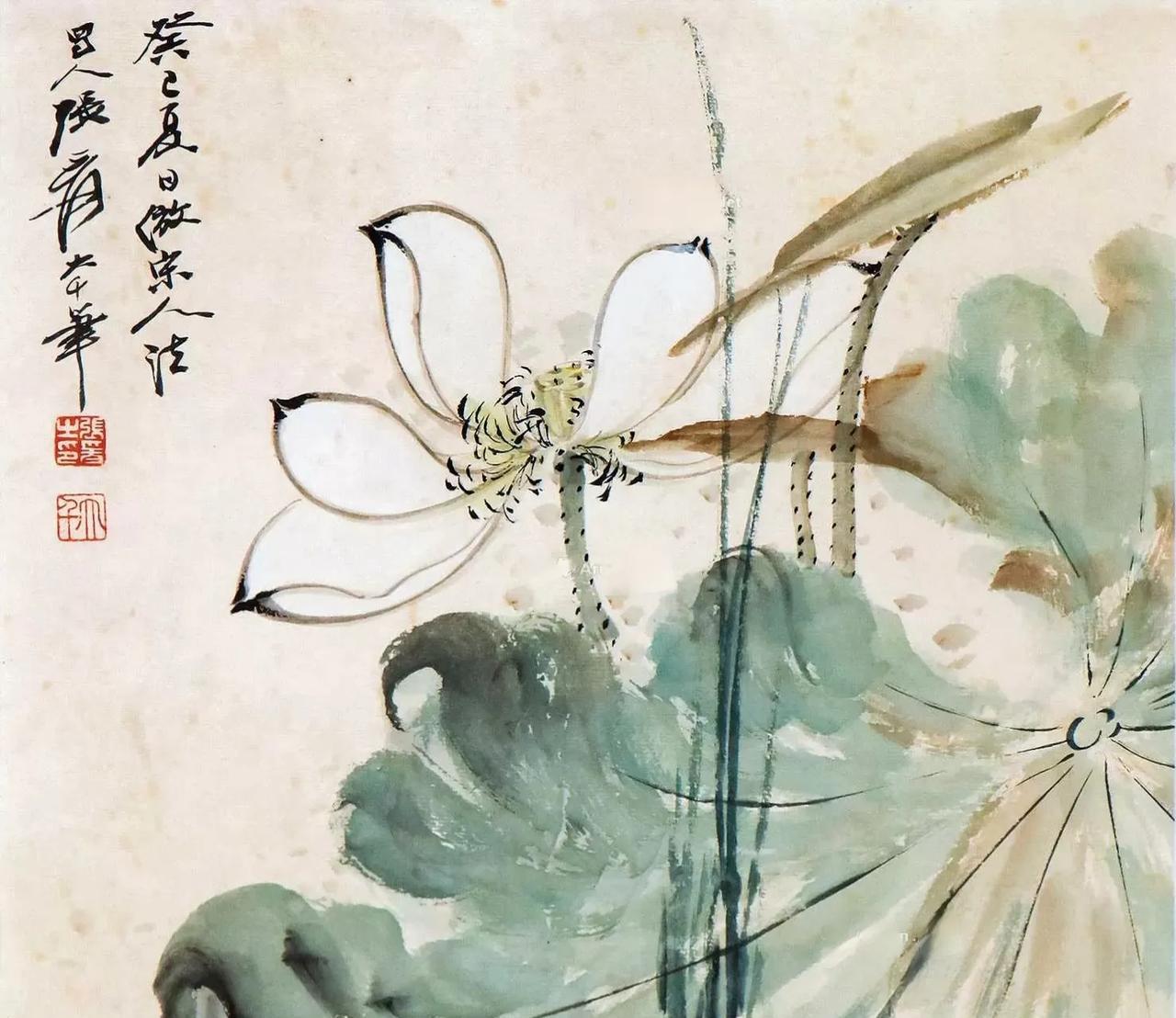 张大千画荷可分三类:一是工笔荷，二是写意红荷、白荷，三是勾花点叶荷。可谓
