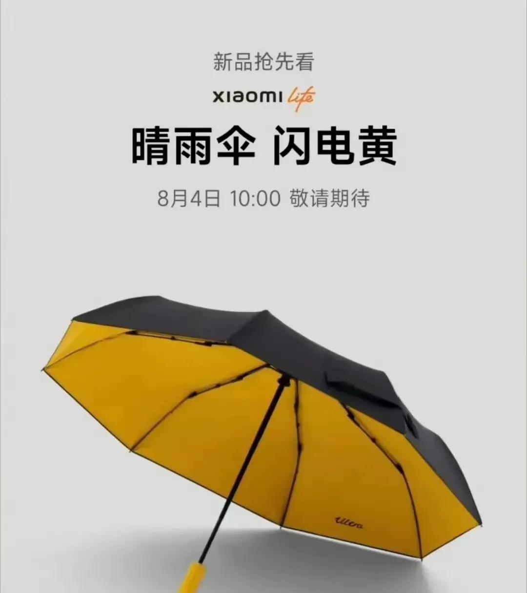 雷军说：最近好多城市老下雨，所以我打算给小米车主弄把雨伞。价钱挺便宜的，不用99