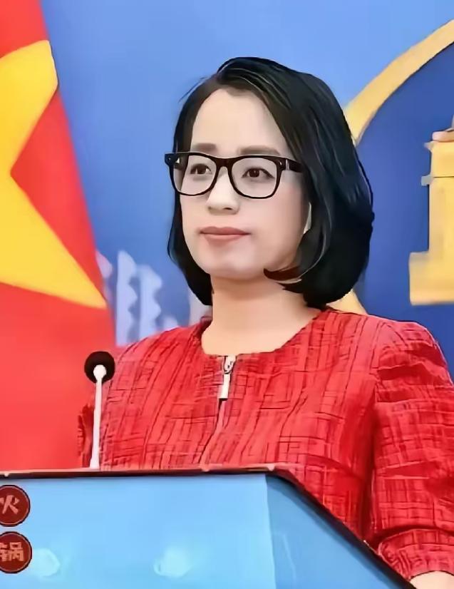 越南这是“连脸面都不要了”？越南外交部发言人曾表示：“任何未获越南许可的外国在黄
