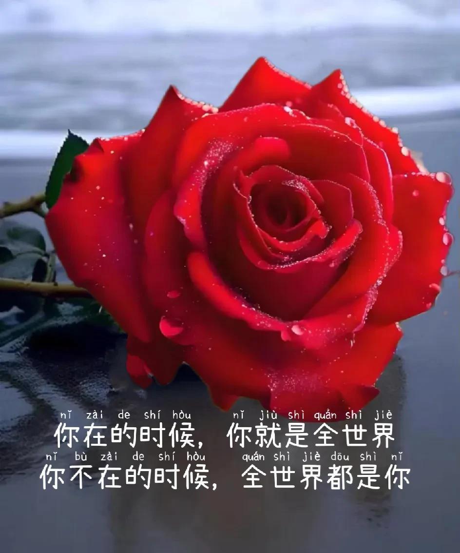想你了无法同床共枕却在每一个寂寥深夜将你深深想起世间烟火终有散唯独思