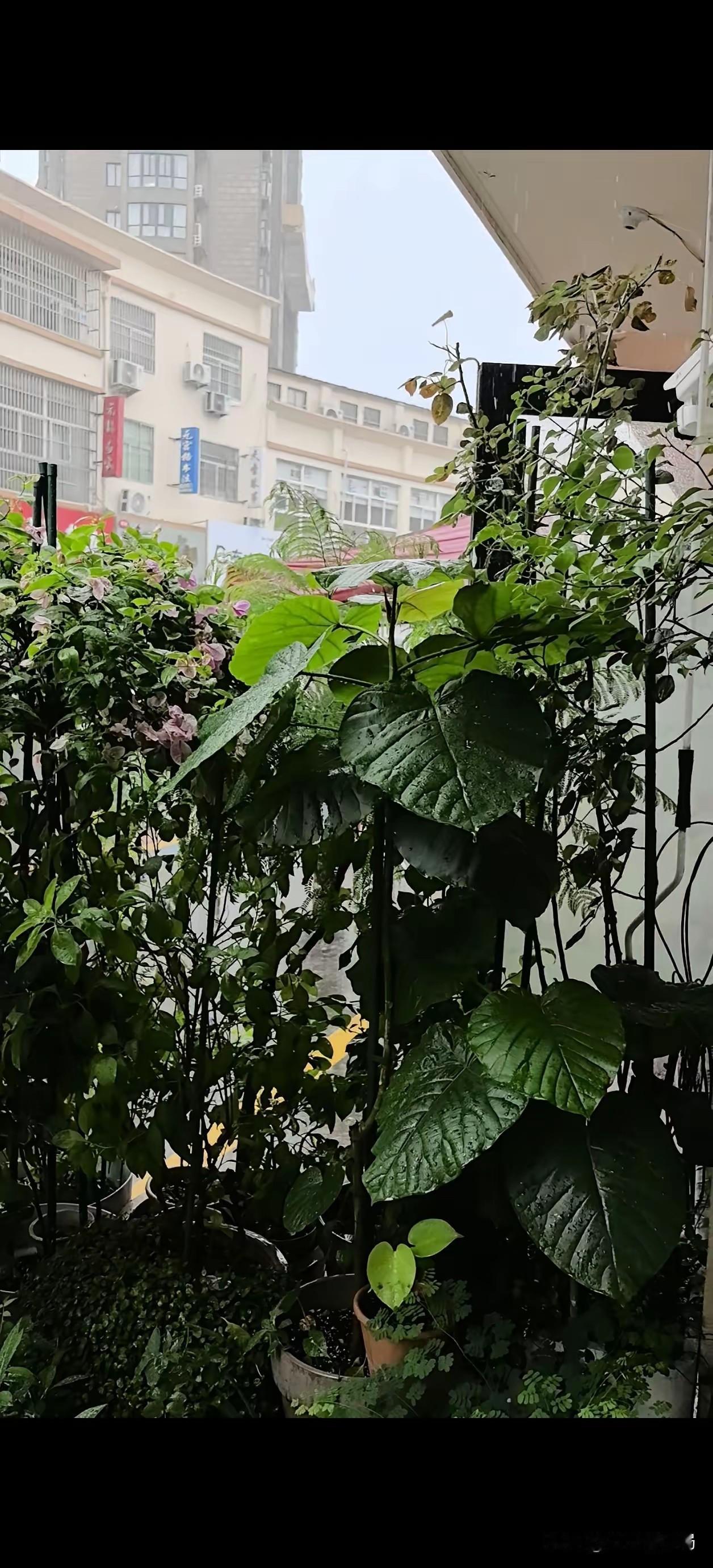 不知道是生理厌恶还是精神洁癖。这两天到同学家里玩，晚上聊了很久，我说你老公对你挺