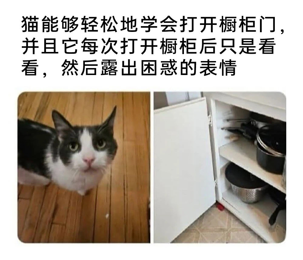 这是啥​​​