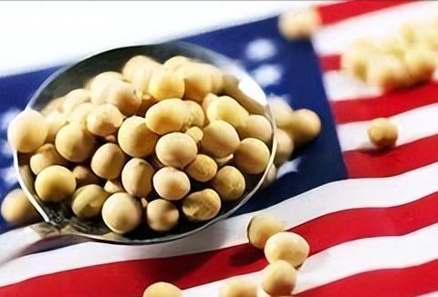 特朗普死乞白赖让中国狂买美国大豆说白了就是他自己挖坑埋了美国农民，现在急得跳脚