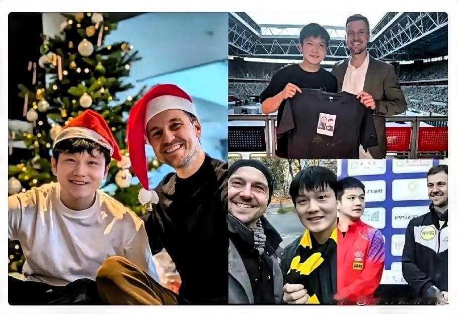 樊振东在波尔家这顿饭，可不是一顿普通的饭，一般人还真吃不上！德国的圣诞节，相