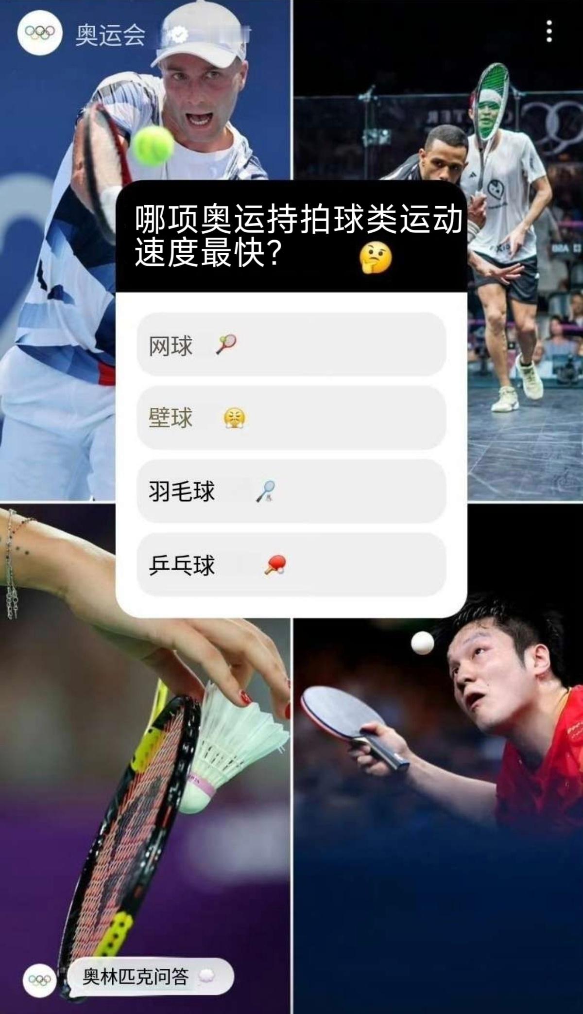 🏓乒乓球执拍者——樊振东【奥运】
