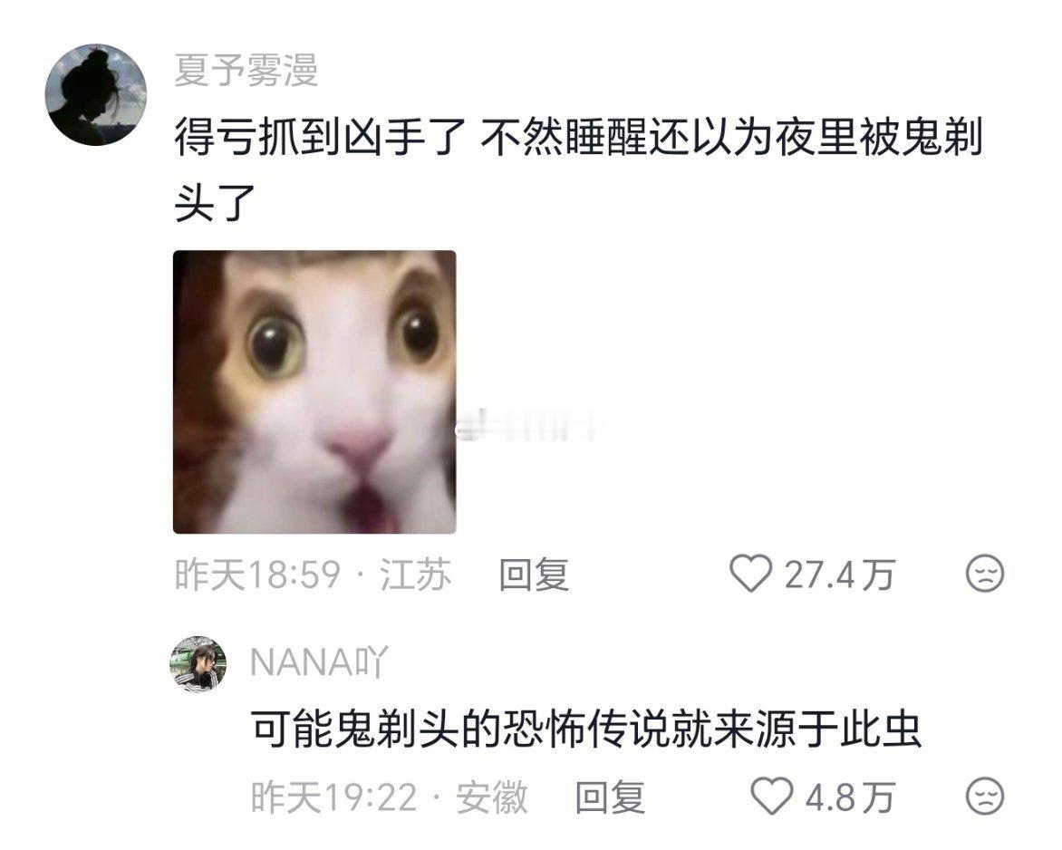 怎么能有这么🗡的虫子
