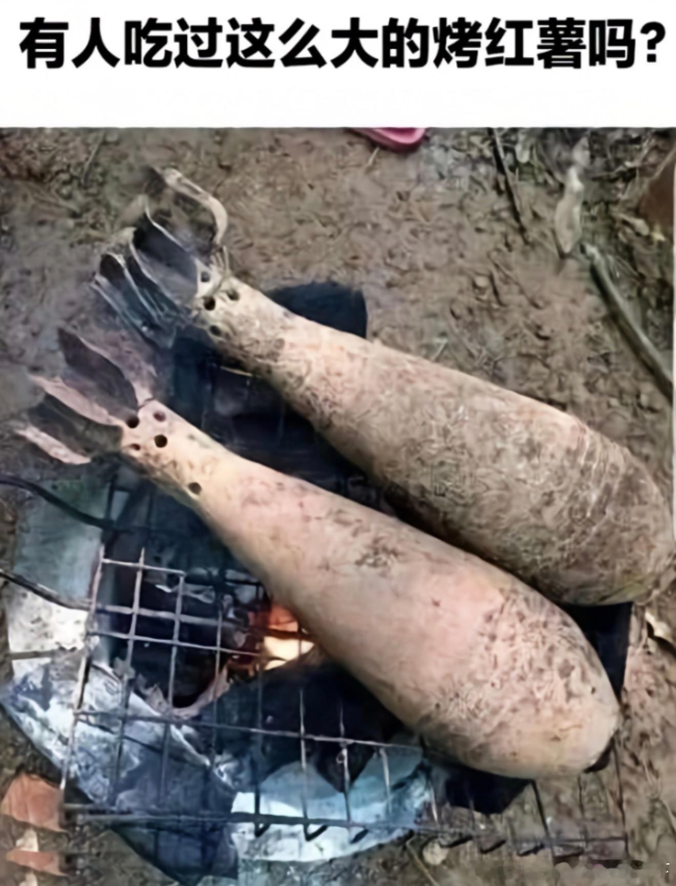 6980这确定能烤？？​​​