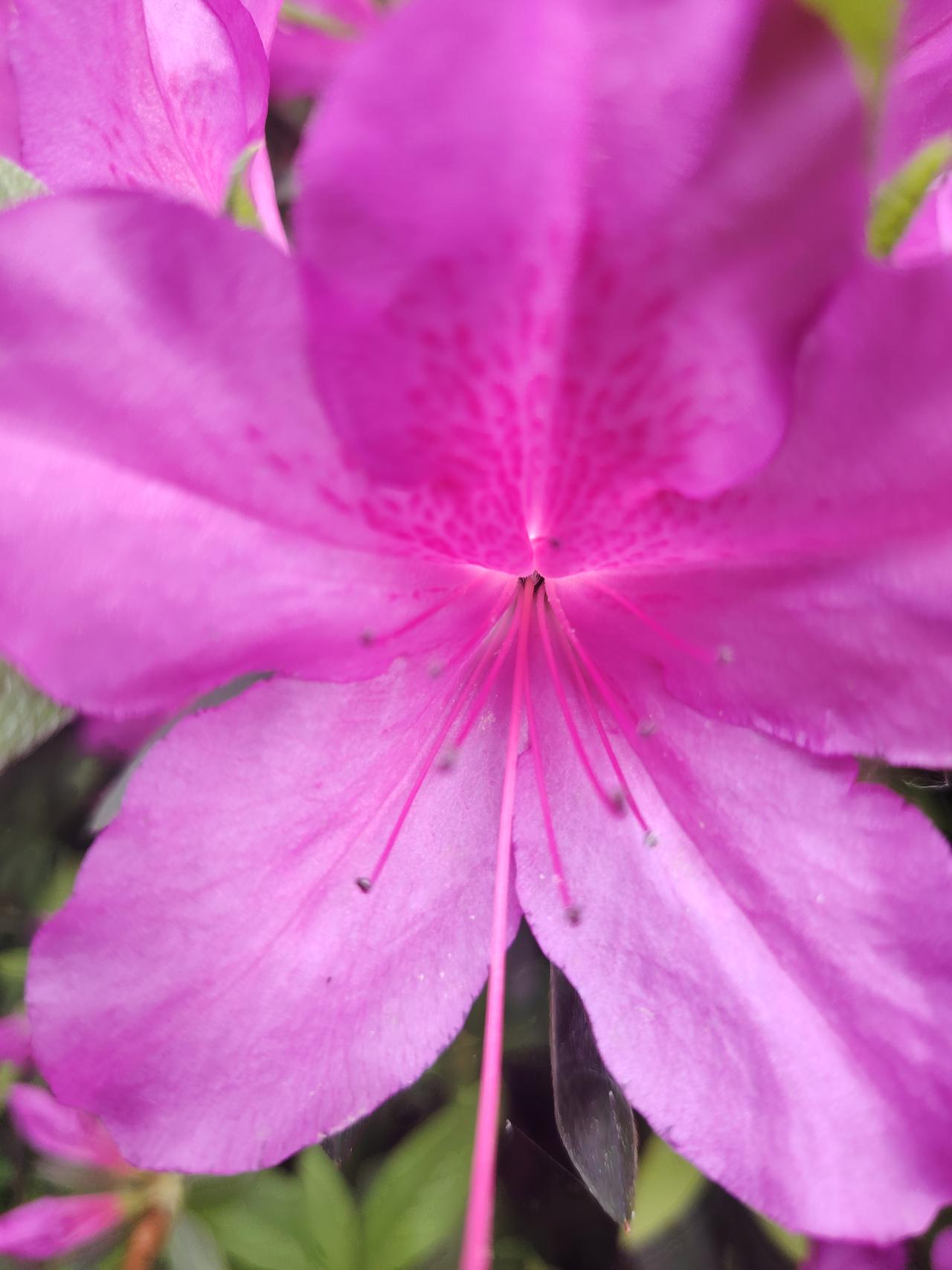 人这一辈子，活到最后比的是什么一辈子只有几十年，说长不长，说短不短，不管你有多高