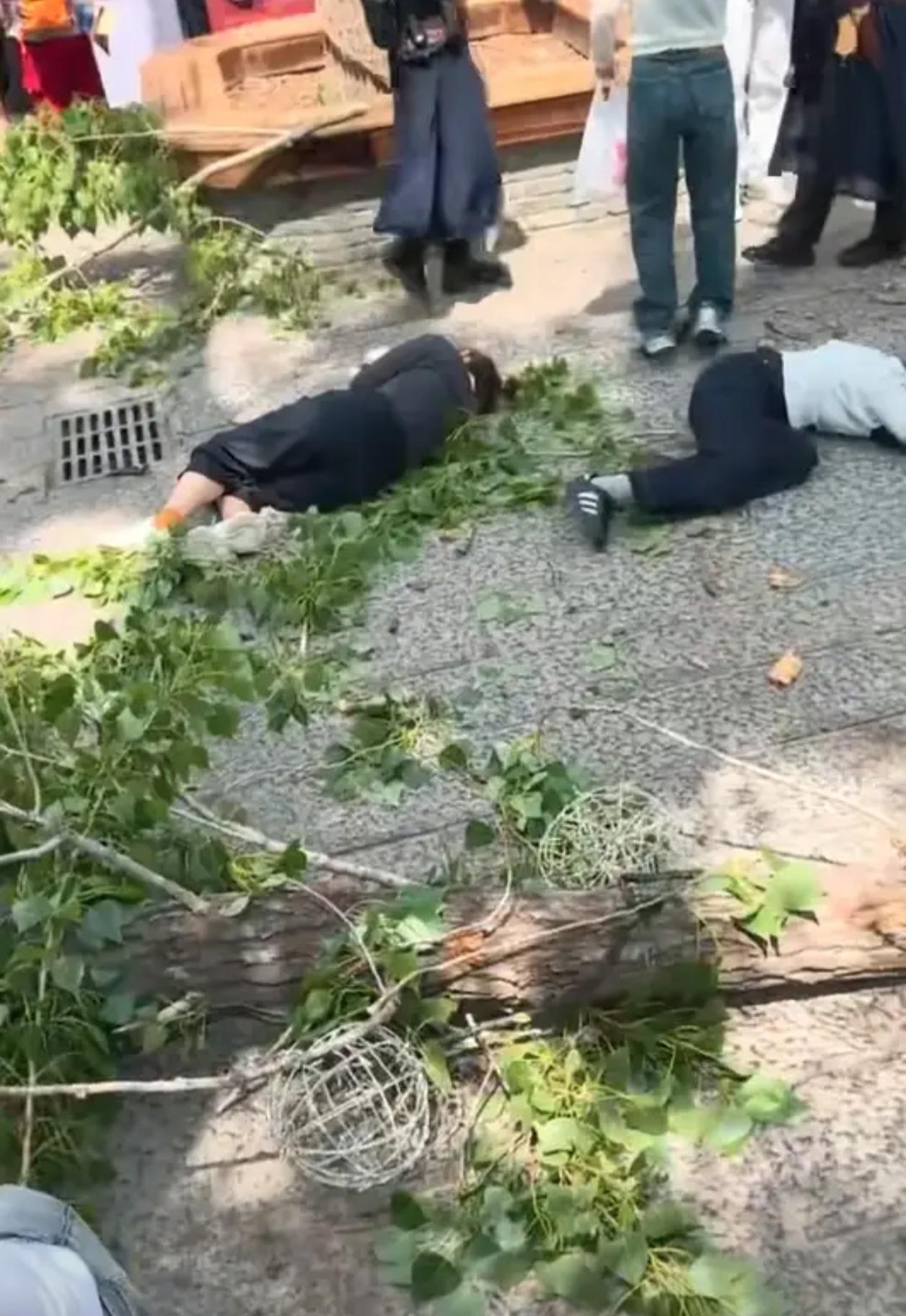 🚨突发！开封万岁山武侠城大树倒伏，多名游客被砸伤4月18日中午1点左右，