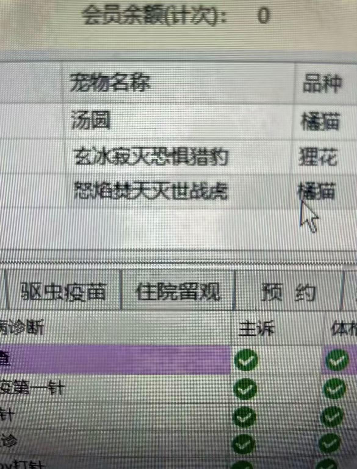 汤圆点的魔王双护