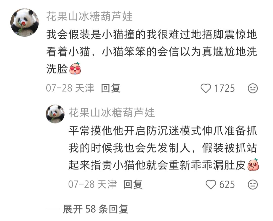猫的思想很单纯你半夜起床不小心踢到它它只会单纯的认为你半夜起来就是为了踢它的头