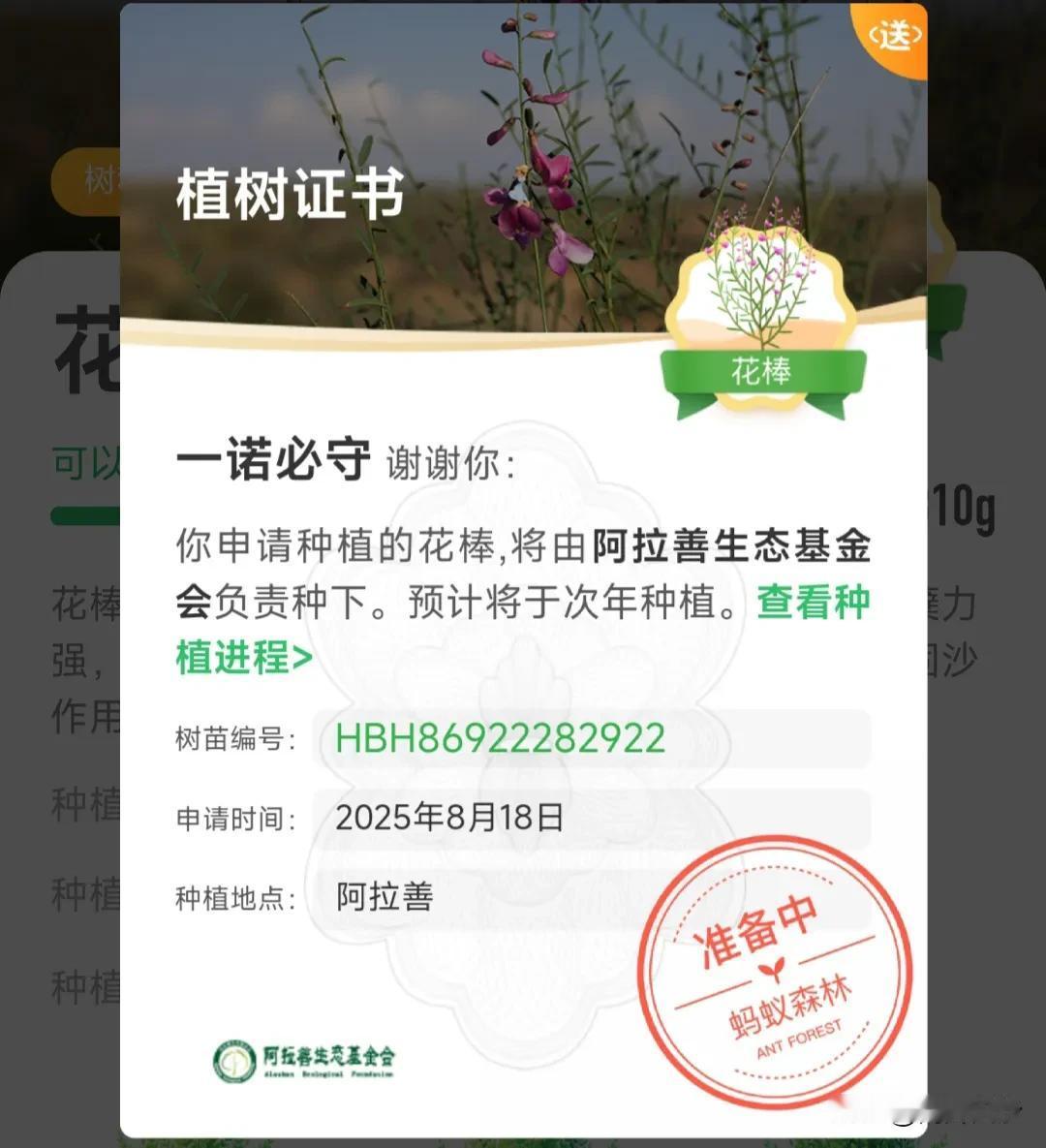 我的绿色梦想