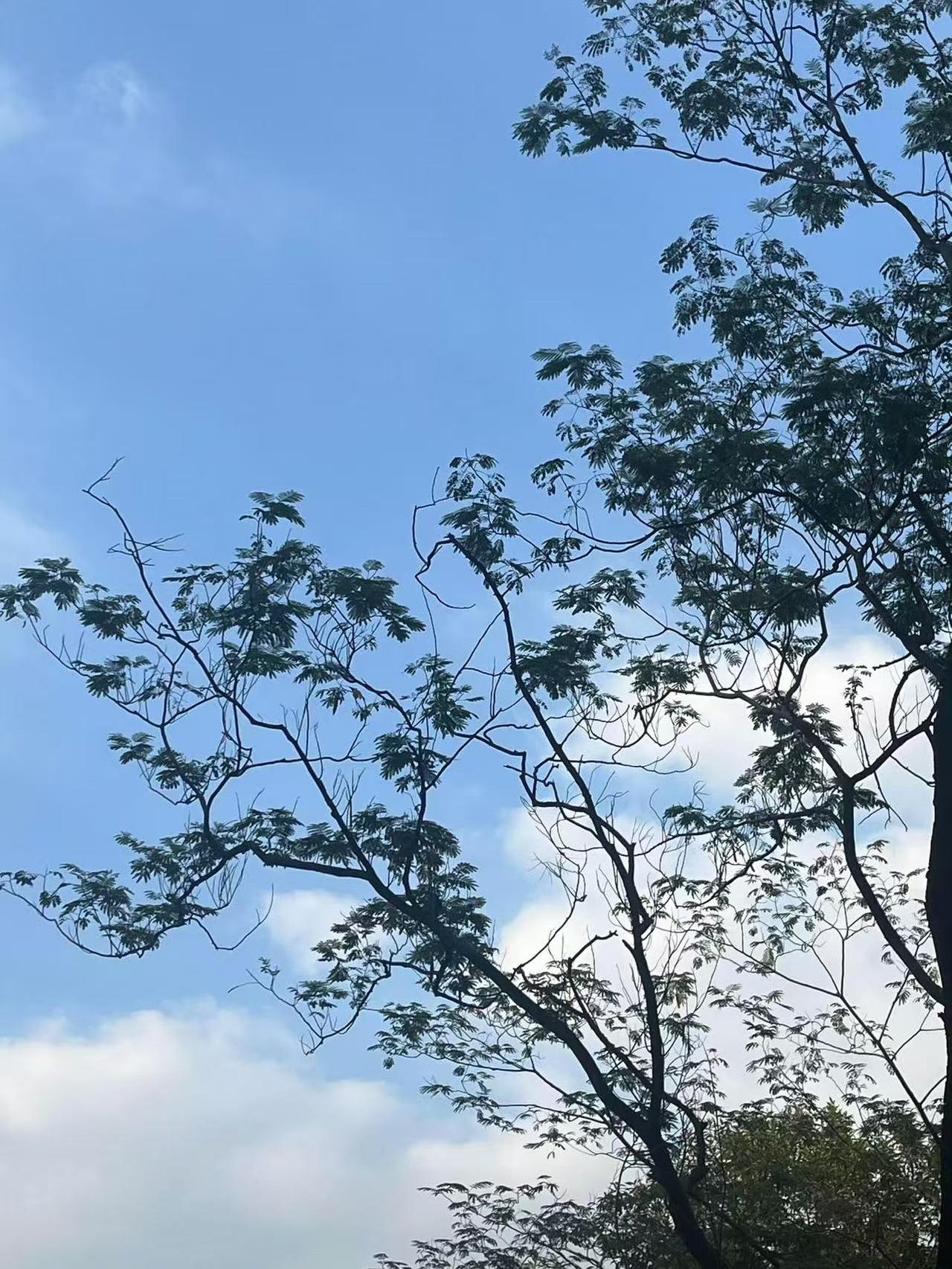 真的太不要脸了我们办公室有一个女同事,天天借茶叶喝,从来没想过自己买,时间长了