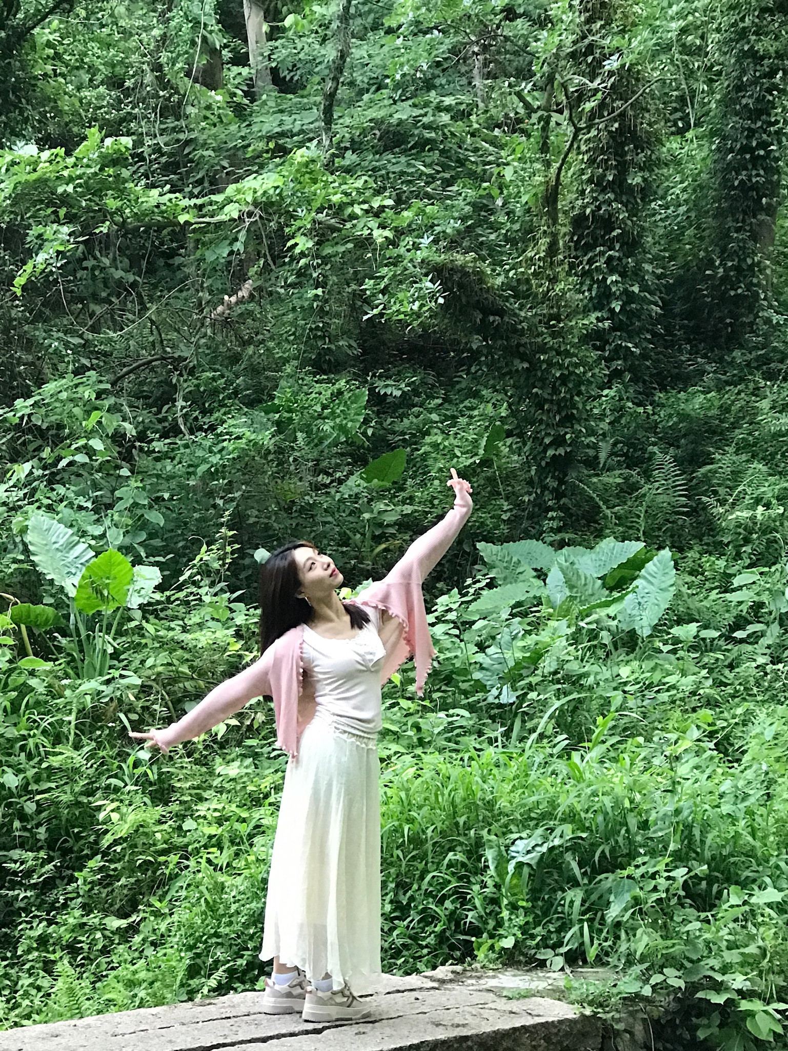 春天🍃​​​