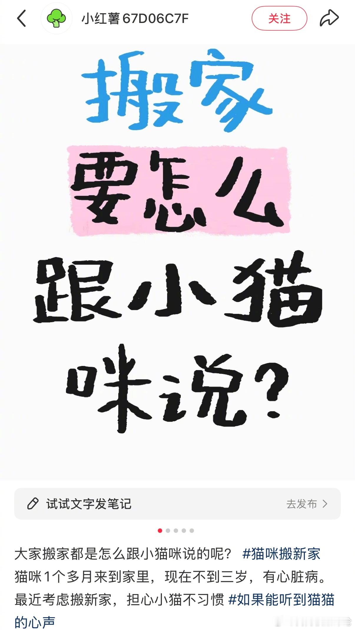 原来小猫真的能听懂人话​​​