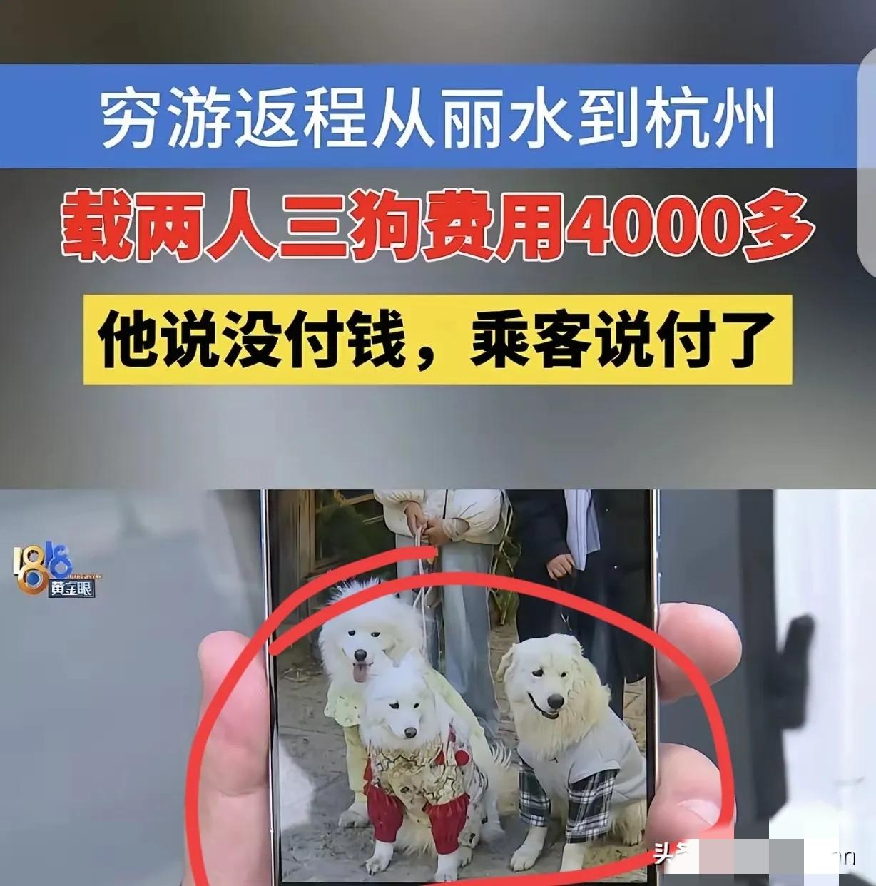 玩不起！”浙江杭州，一男子开着面包车穷游西藏，为了省钱在丽江拉上2个女子，和她们