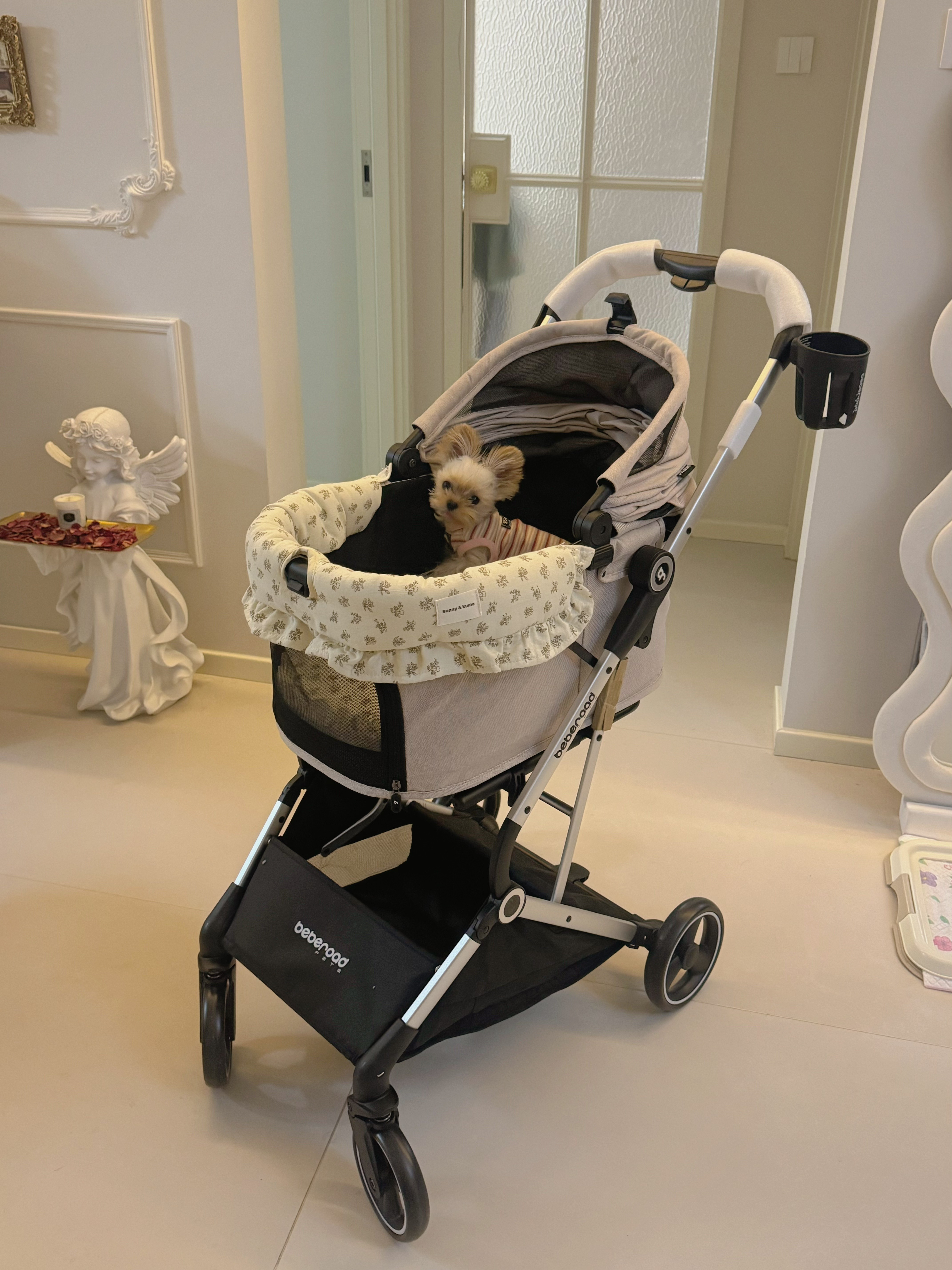 车若初见太娇贵了，拿狗狗当孩子养呢