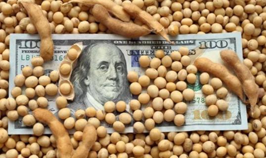 阿根廷被中国海关退回30万吨“漂白”美国大豆！拆开之后发现，连美国原装的袋子都没