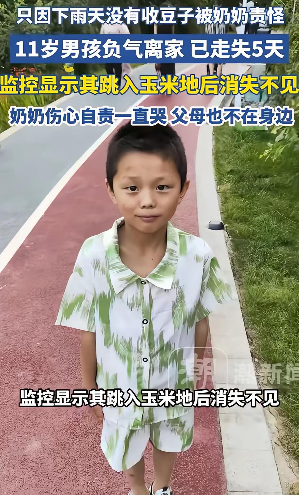 云南昭通，11岁男孩因为忘了帮奶奶收豆子，被奶奶痛骂，一赌气离家出走，结果走丢5