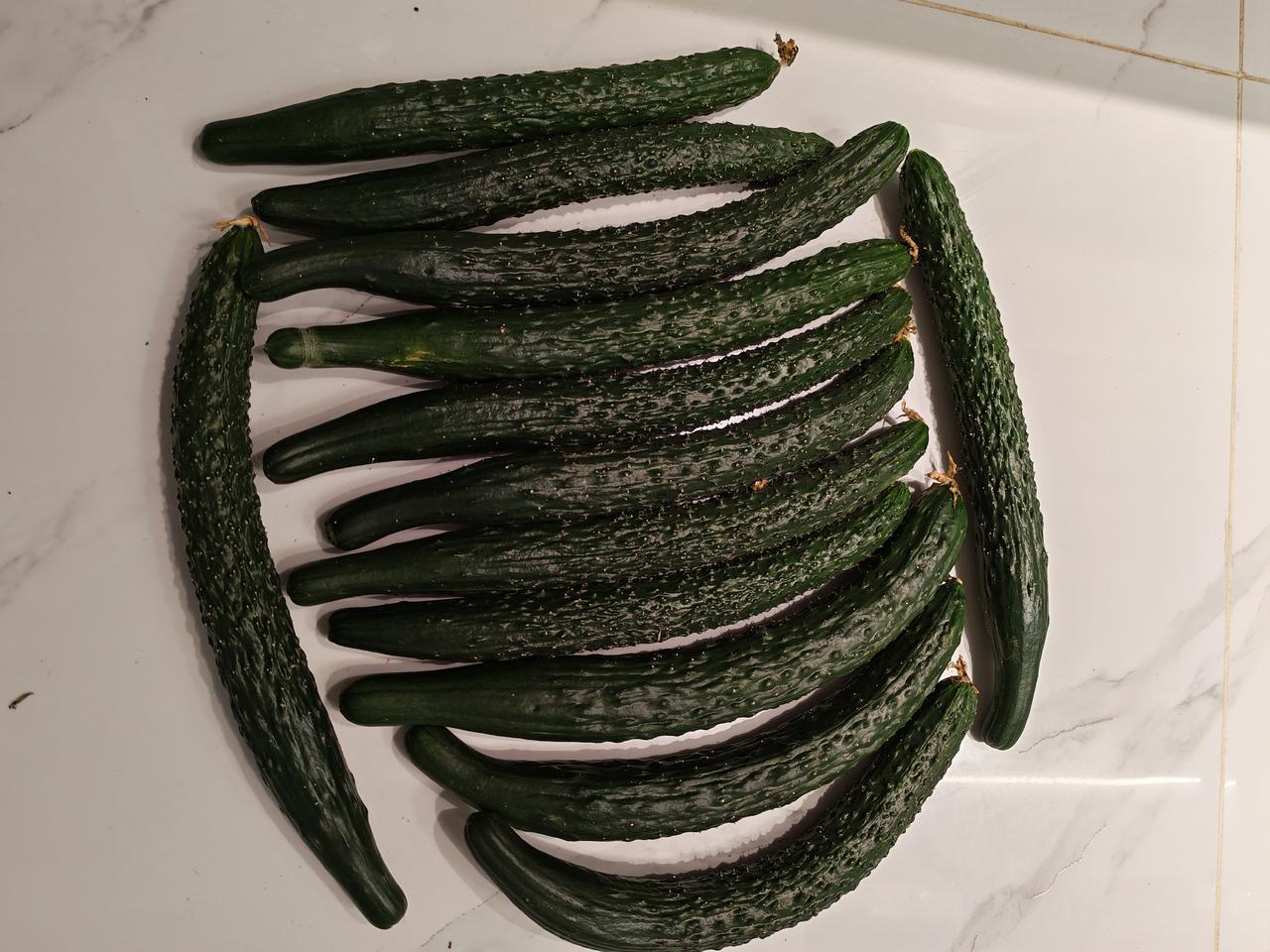 我非常爱逛菜市场。早市场的快乐，永远藏在这堆顶花带刺的新鲜里。刚摘的大地黄瓜