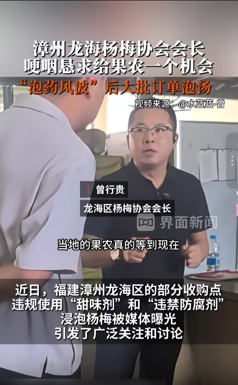 漳州杨梅协会会长是个什么东西？？？漳州杨梅出事了，这个狗协会会长被催出来吸引火