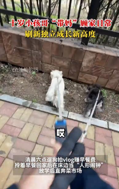 “别人家的孩子！”辽宁沈阳，一位10岁小孩哥每天6点早起遛狗，顺便给父母带早饭，