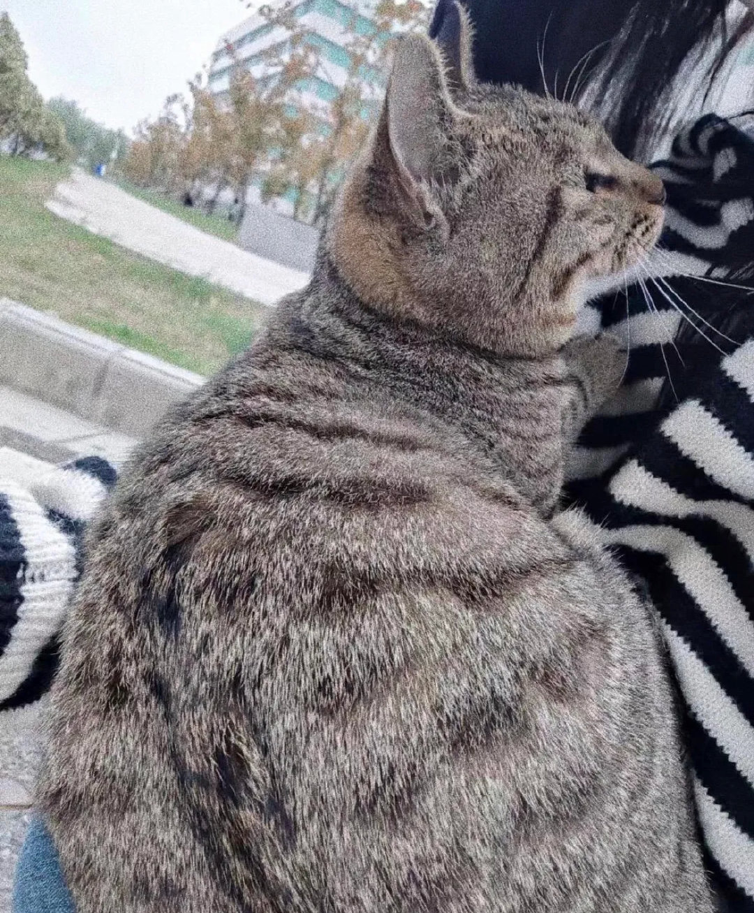 摸了一下还讹上了……