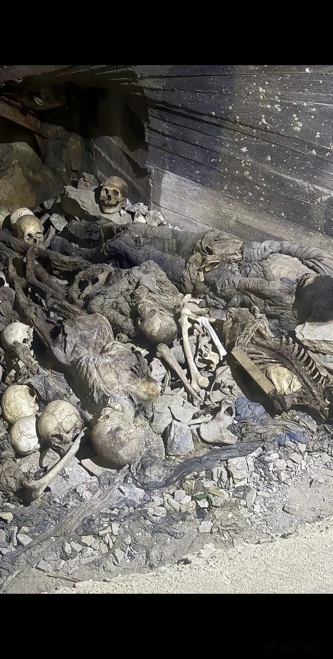 看这些尸骨，感觉像是被日本鬼子残害的同胞，因为从照片上看，根据这些人的穿的衣服来