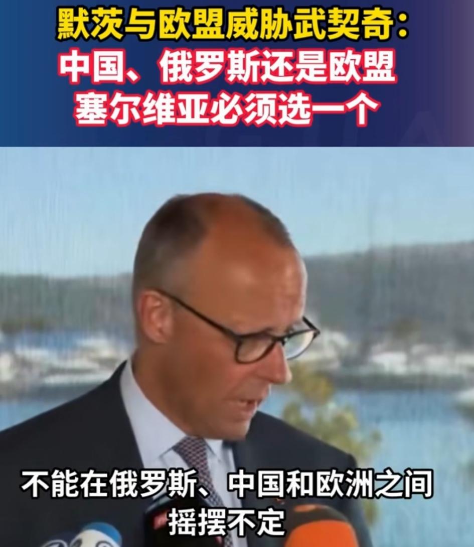 戚胁武契奇做选择，德国的强盗逻辑，也是其失去非常任理事国的主因吧！近日，欧盟西