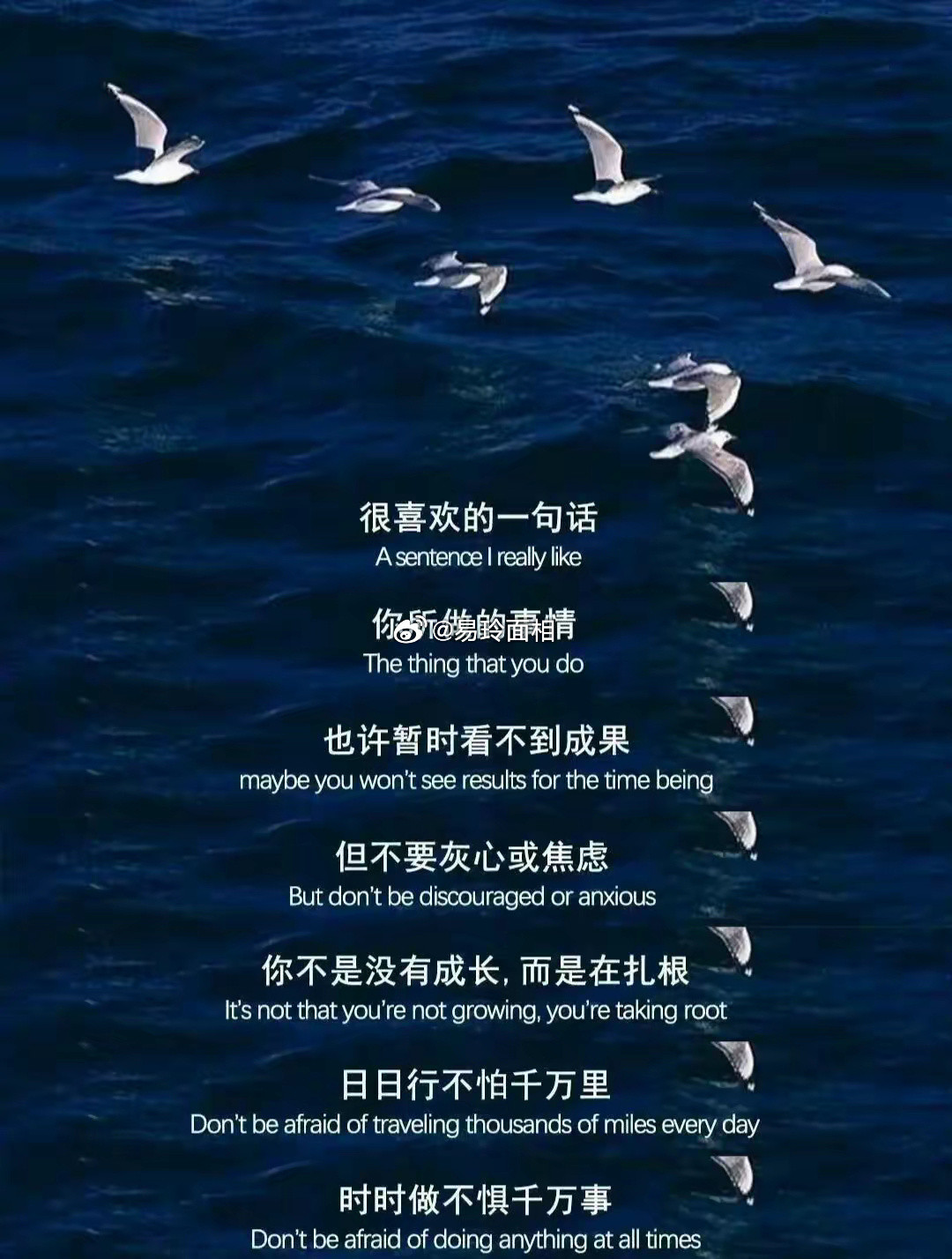 没人敢说一个双子座很傻，因为了解双子座的人都知道他们聪明睿智，所以双子座一般都被