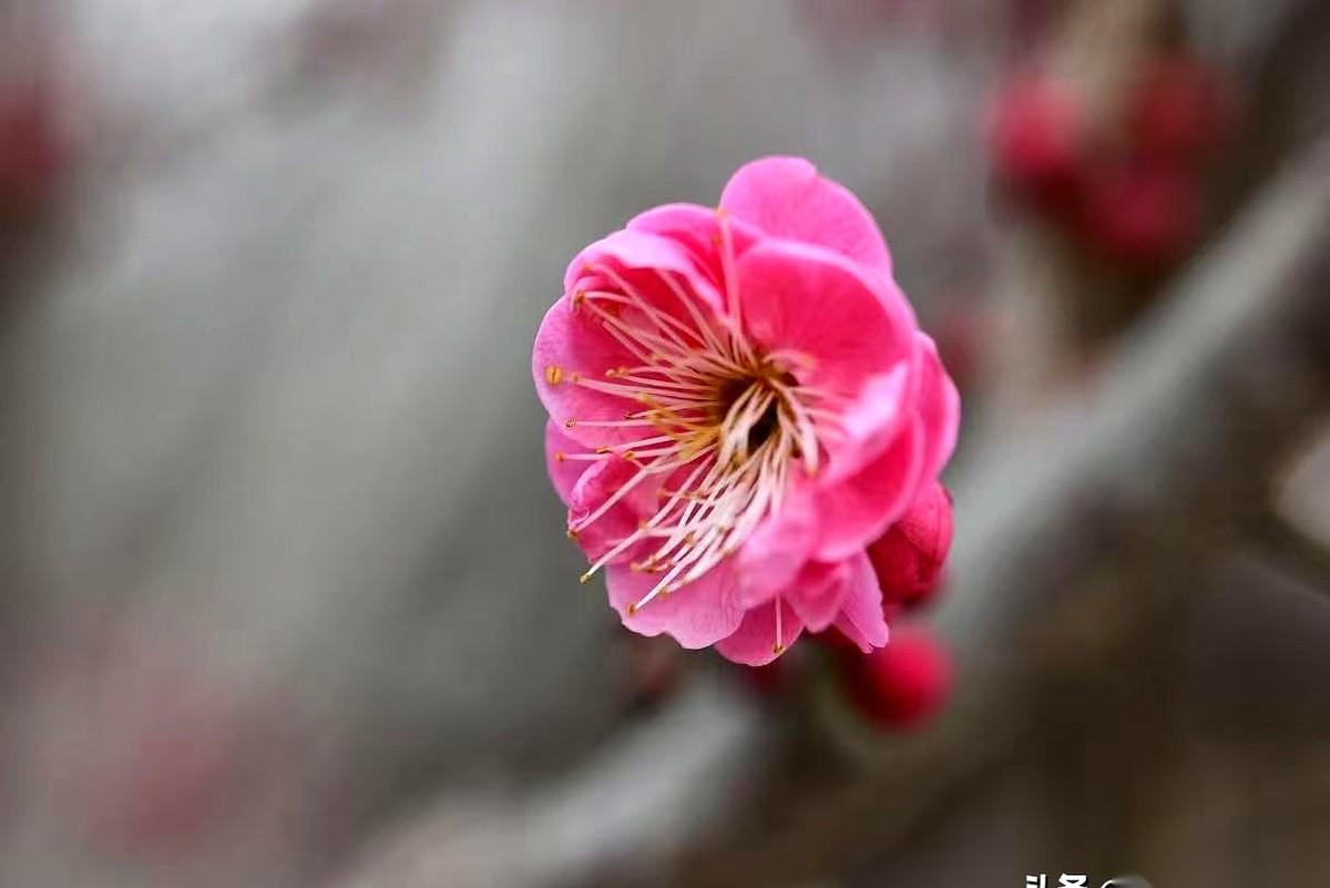 昨晚心脏又咯噔了一下。换以前，我肯定满世界找速效救心丸，血压计都得赶紧安排上。