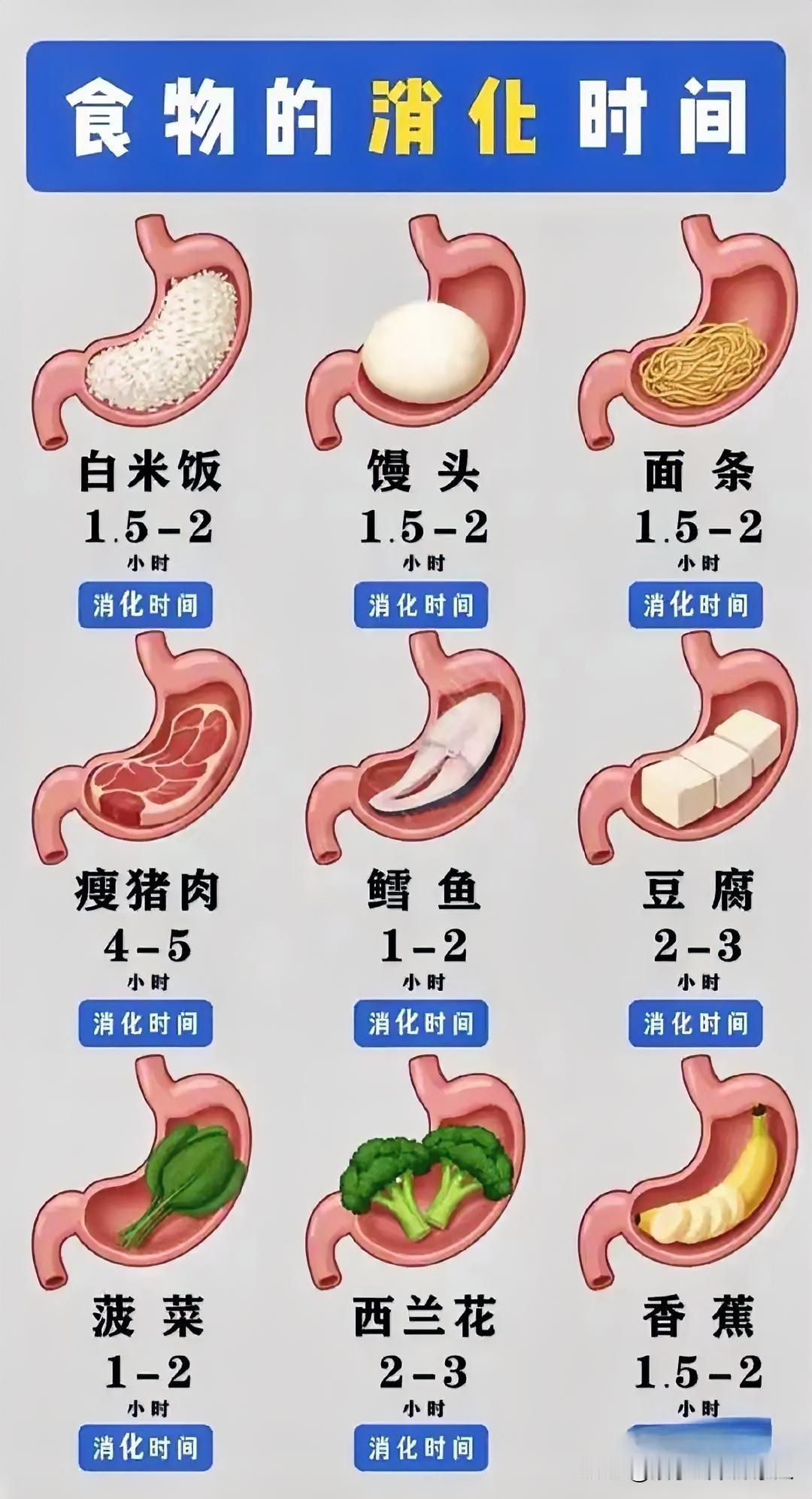 今天来讲一下吃的各种食物需要多长时间消化完？肉还是少吃点吧，我老婆要我一星期只吃