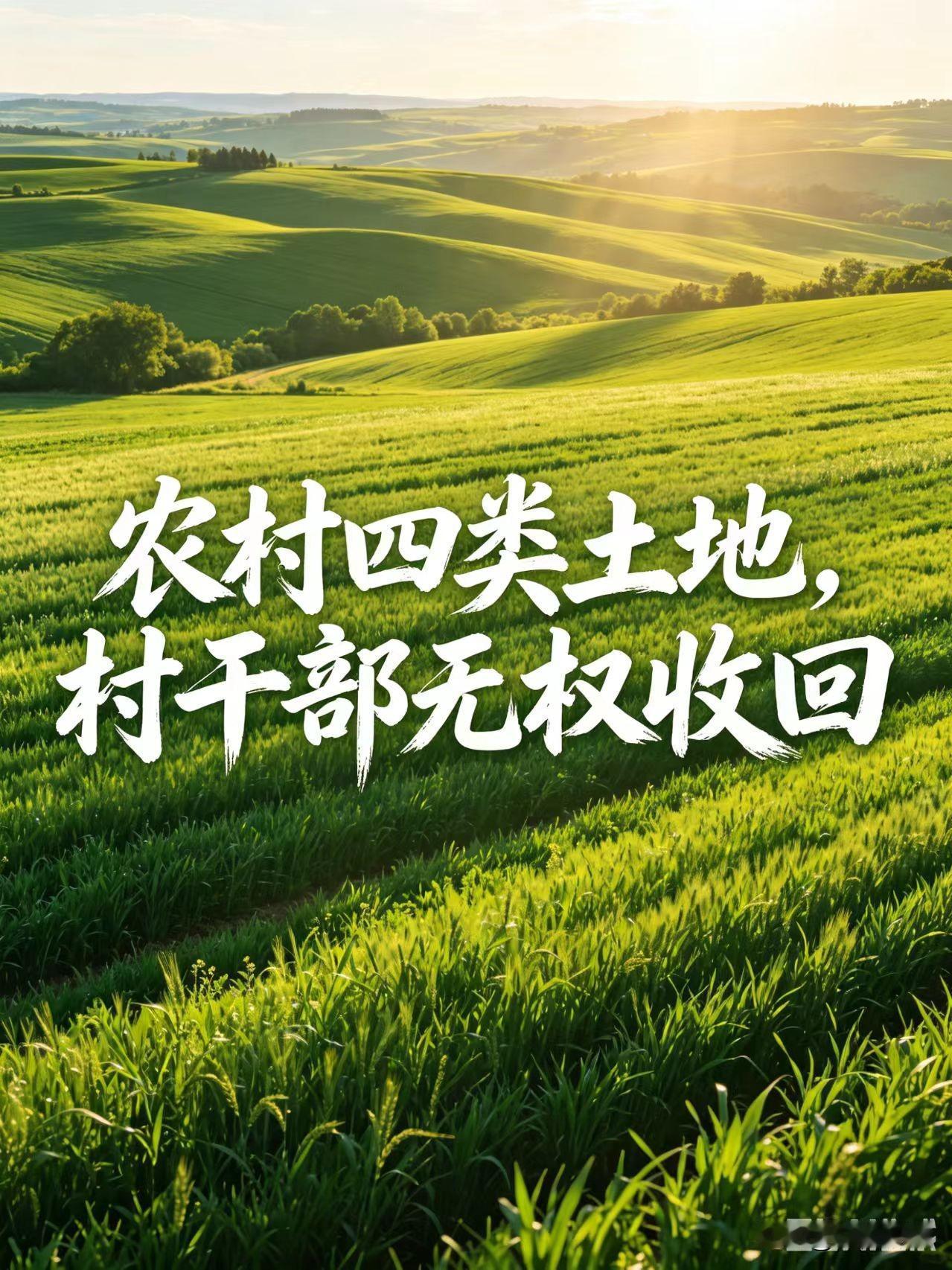 农村农民注意！这四类土地，村干部无权收回在农村，土地就是老百姓的根，也是最