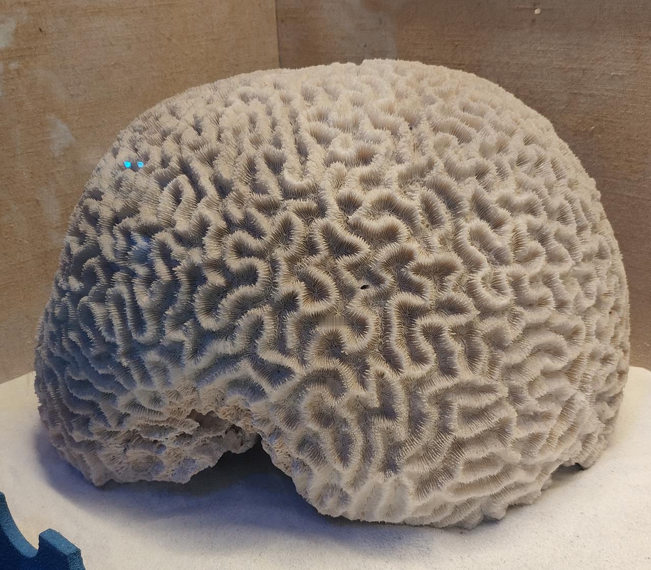 我就问一下住广州越秀区，荔湾区的人，假如你的旧房子评估价格是300万元，你会不会