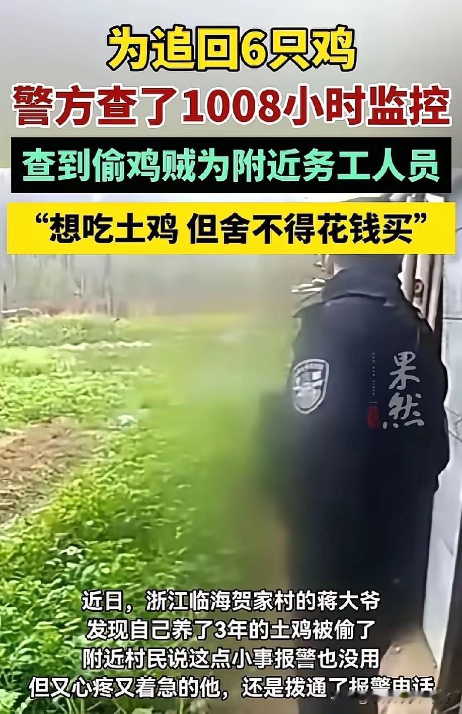这才是人民的好公仆！近日，浙江台州，一老人丢了6只鸡，为了找回这6只丢失的鸡，当