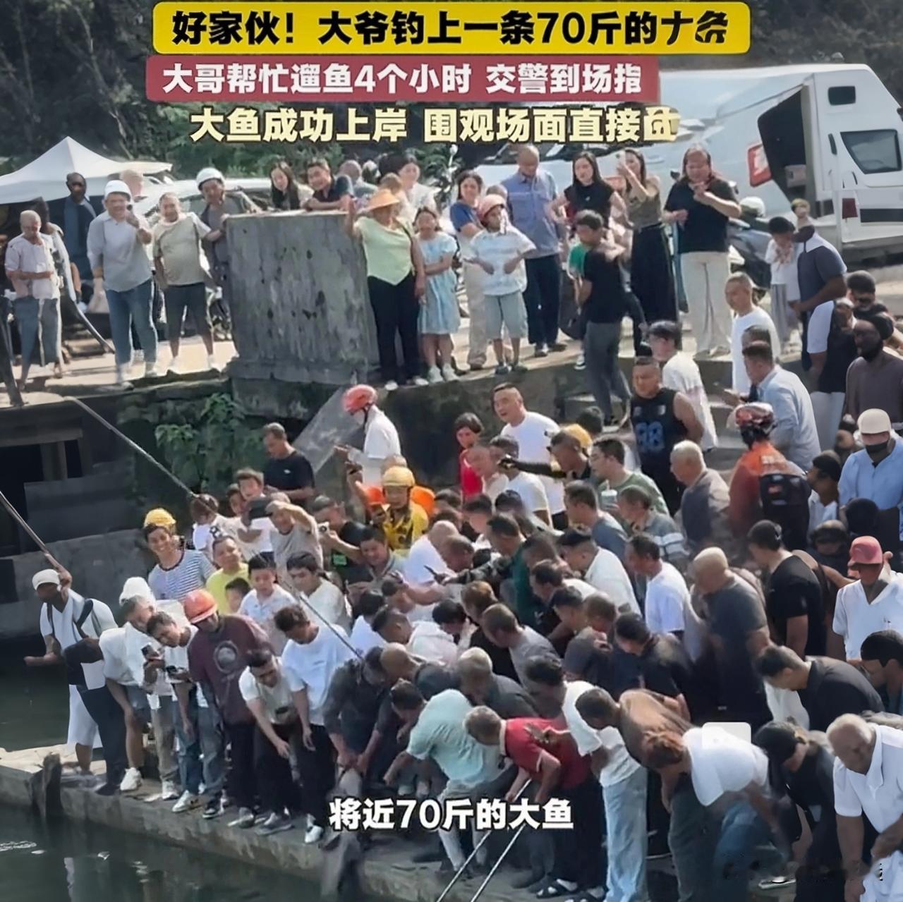 大爷钓上70斤巨鱼，200人围观4小时！结局看哭全网谁能想到，贵州遵义一位大