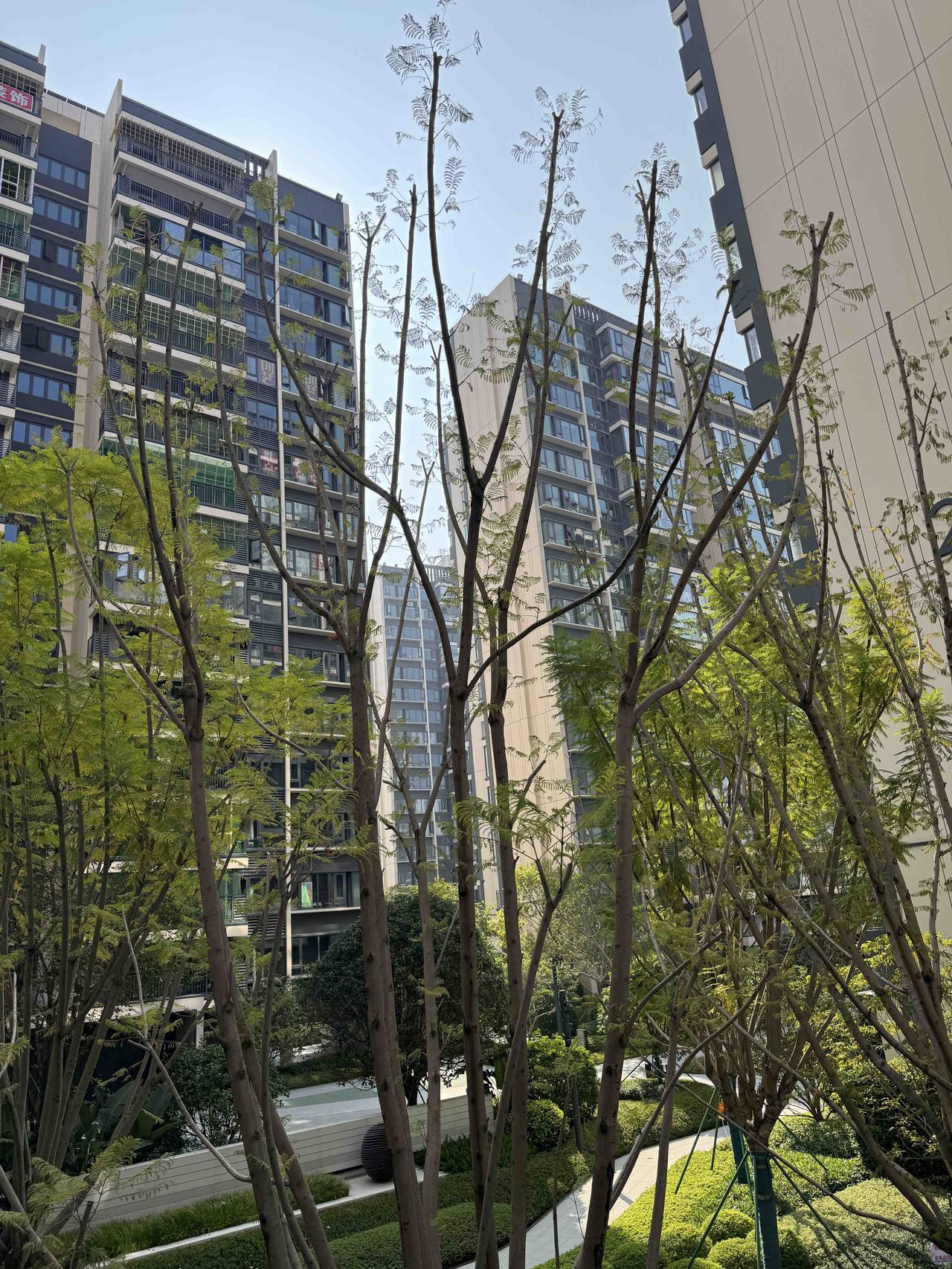 房价还会继续下跌？现在还有很多人，特别是还没买房子的人，满怀期待，盼着房价一路大