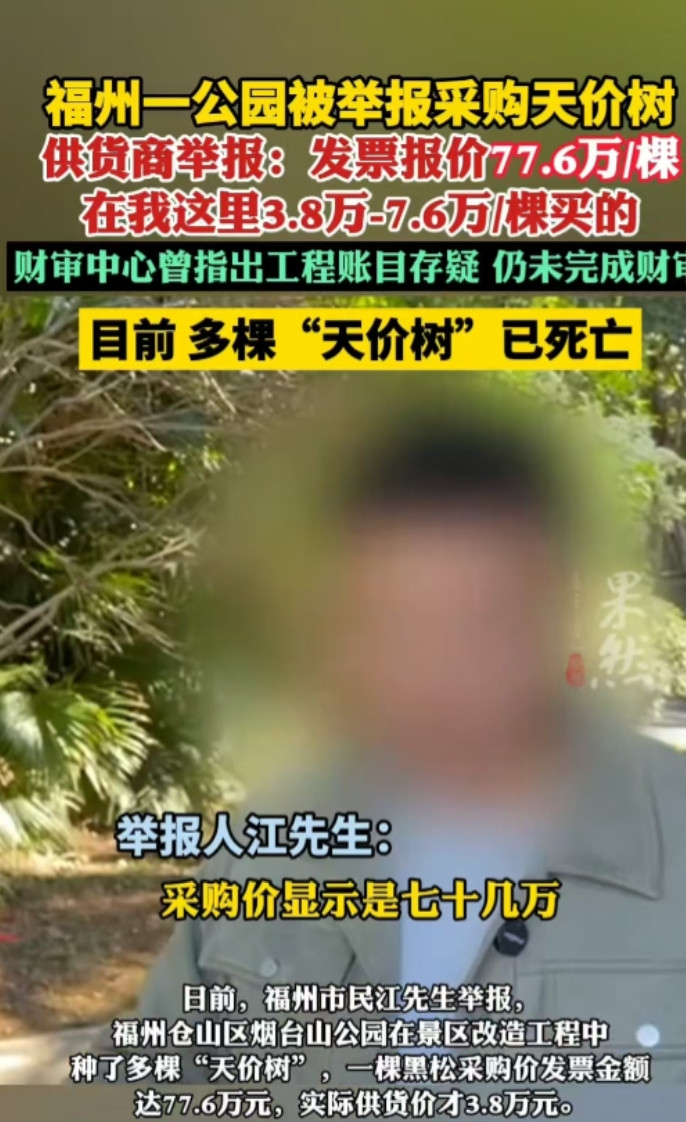 福建一公园采购“天价树”，发票上报价77.6万每棵，实则进价仅3.8万-7.