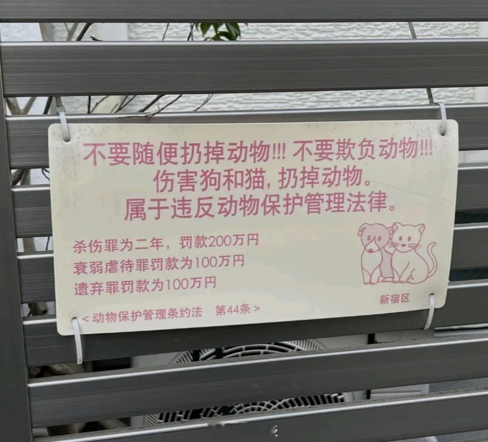 反思时间。那海豚算不算动物？鲸鱼算不算动物？