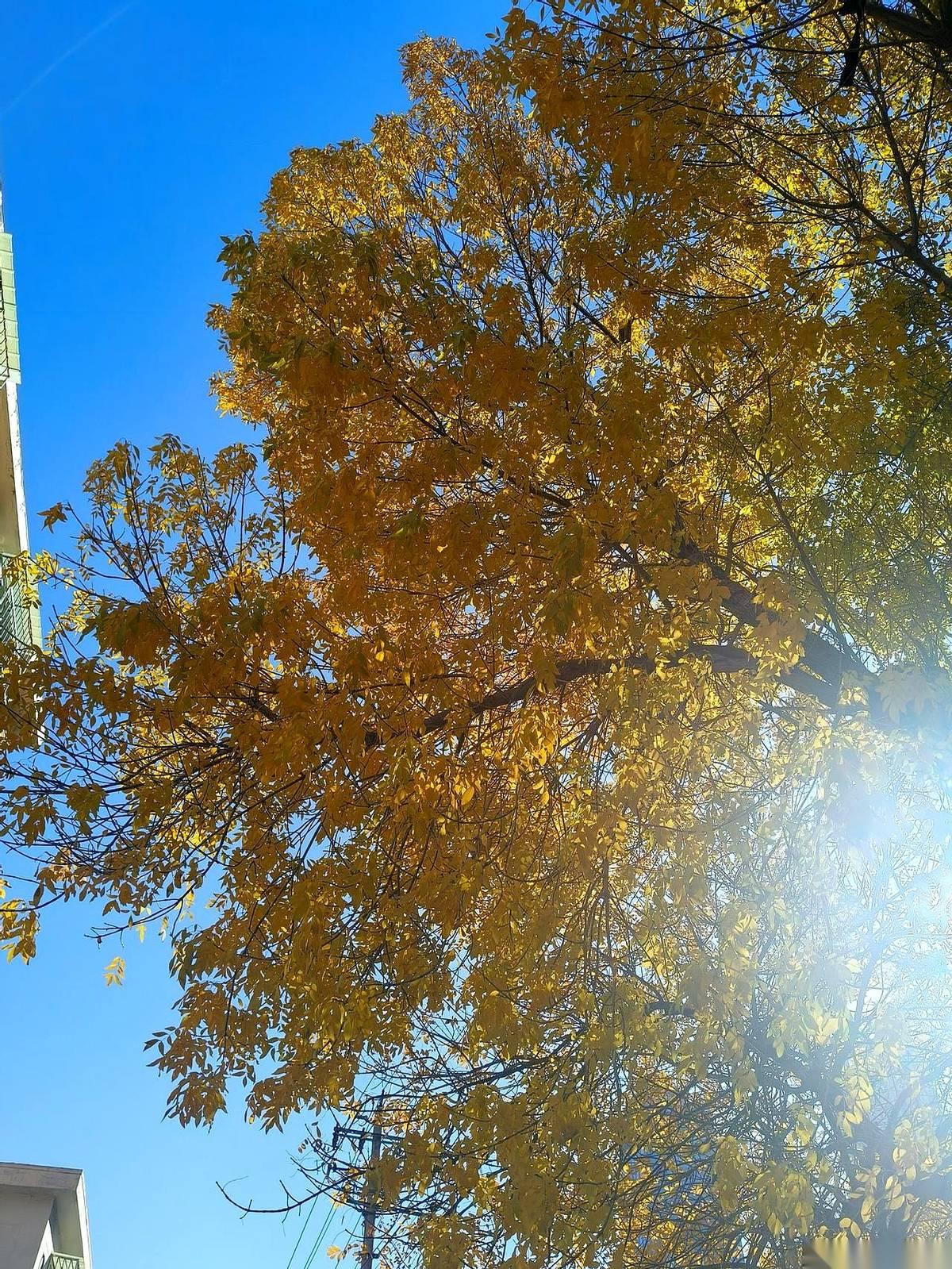 老婆单位开会，内容就一个：降薪。理由？没有理由。老板就差把“都得理解我”五个字