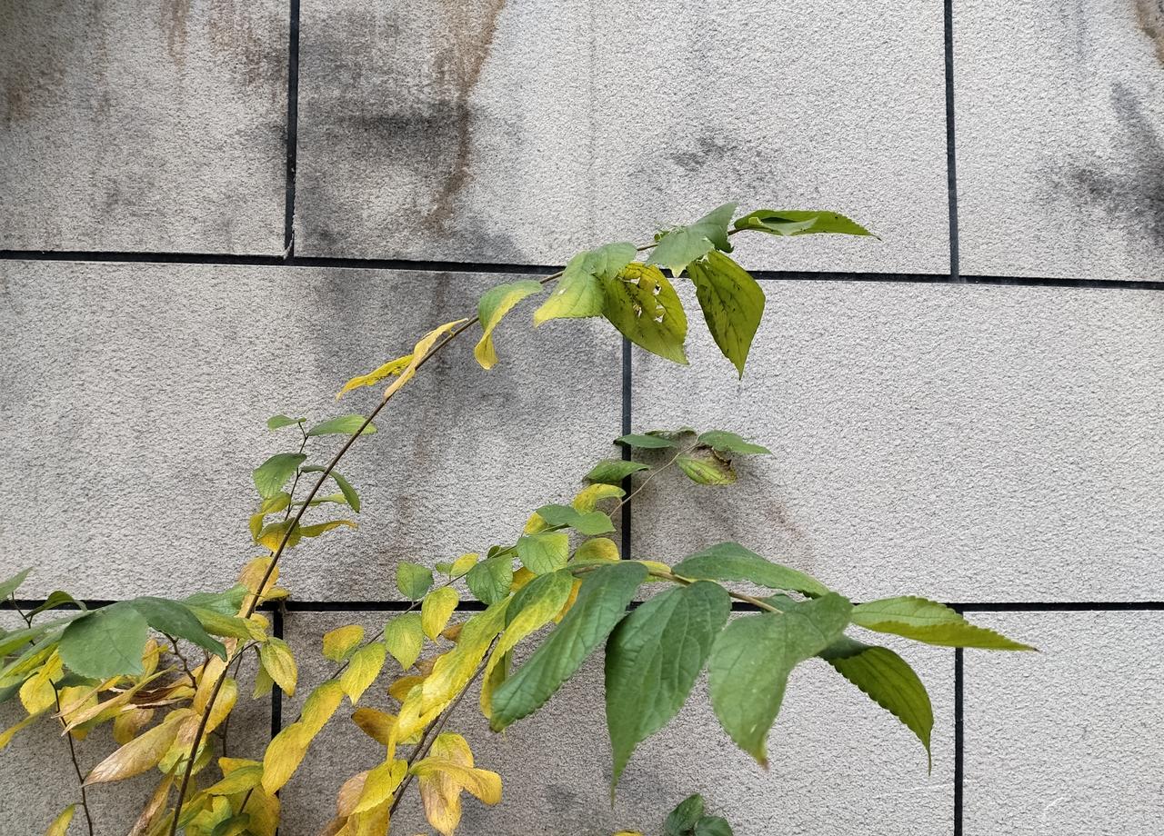 郭德纲这辈子可能都当不了好主持人。但撒贝宁们放下话筒，随时能给你碾压强段子。