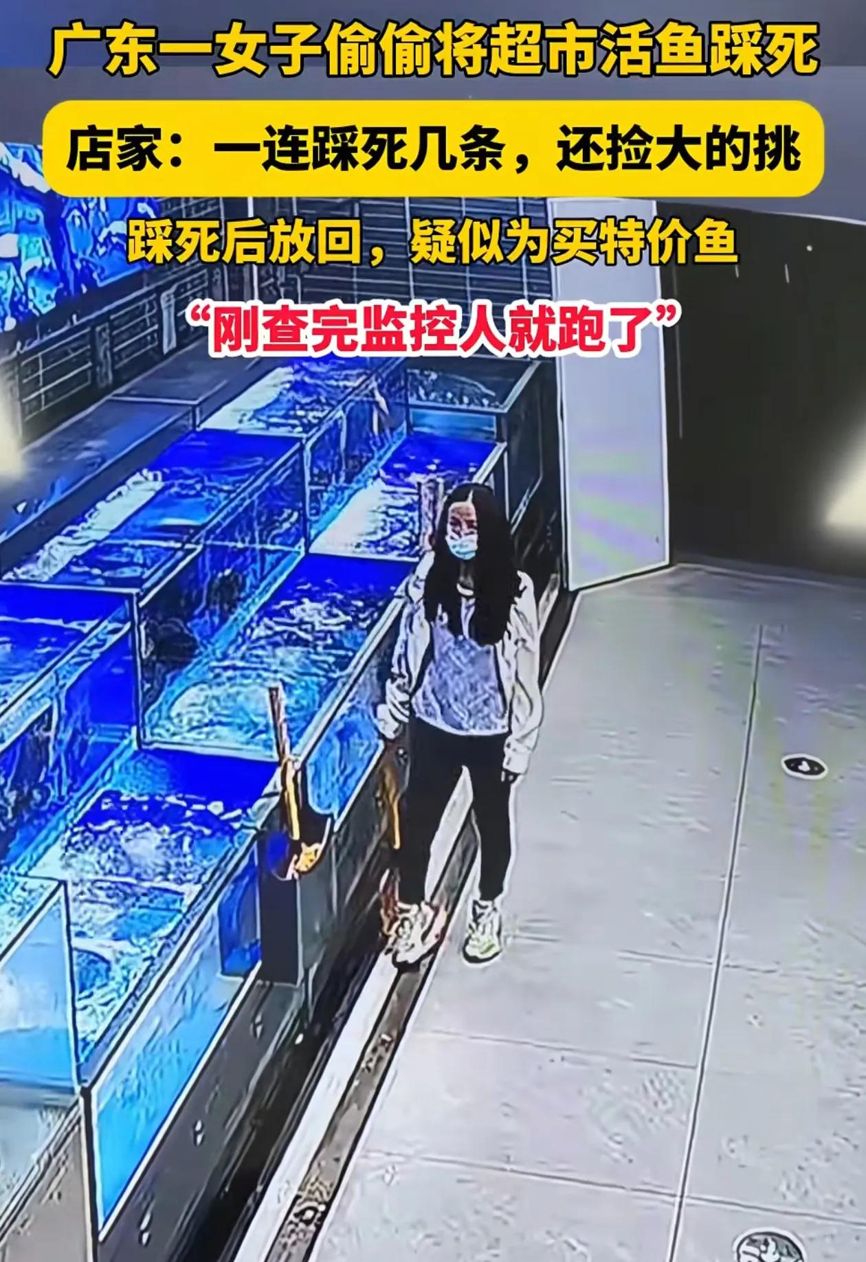 其实这种人也挺可怜的，为了占点小便宜脸都不要了，近日，广东一女子到超市水产区，精
