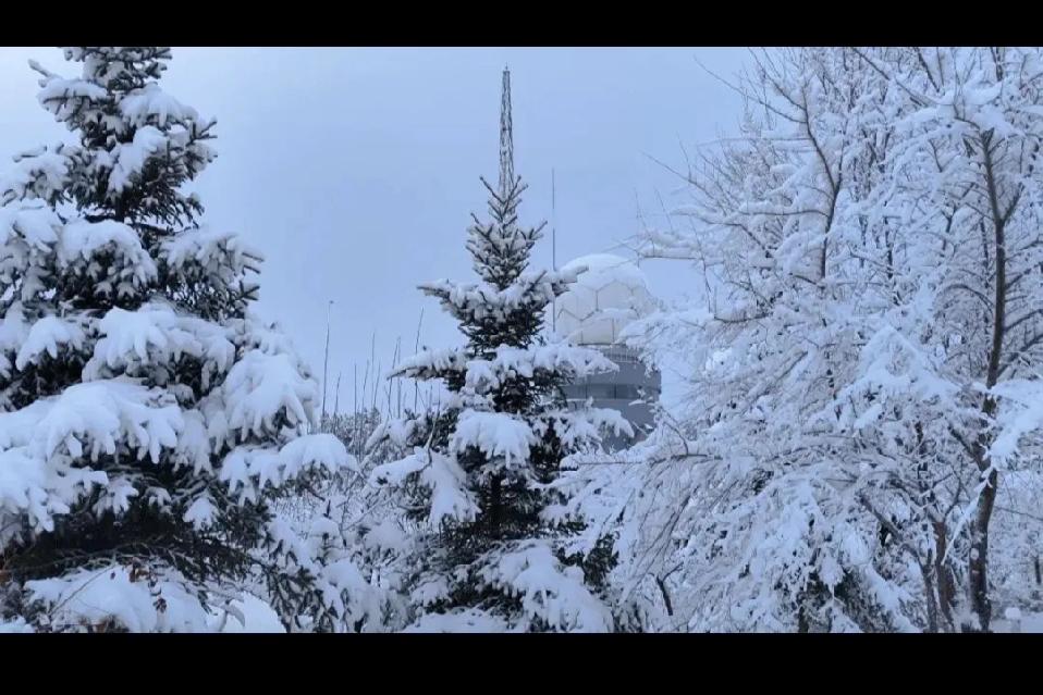 新国标电动自行车遇冷，主要原因一个是速度问题，一个是价格问题。要速度降下来，价格