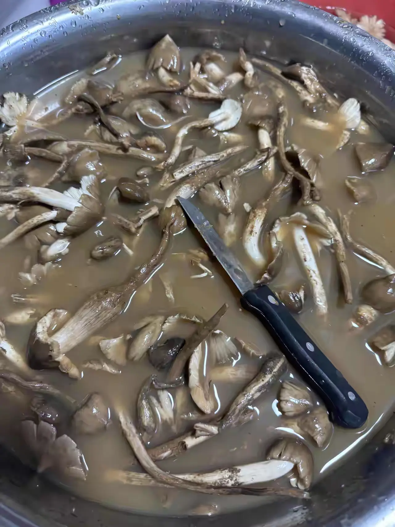 已崩溃！有没有云南的朋友教一下怎么洗