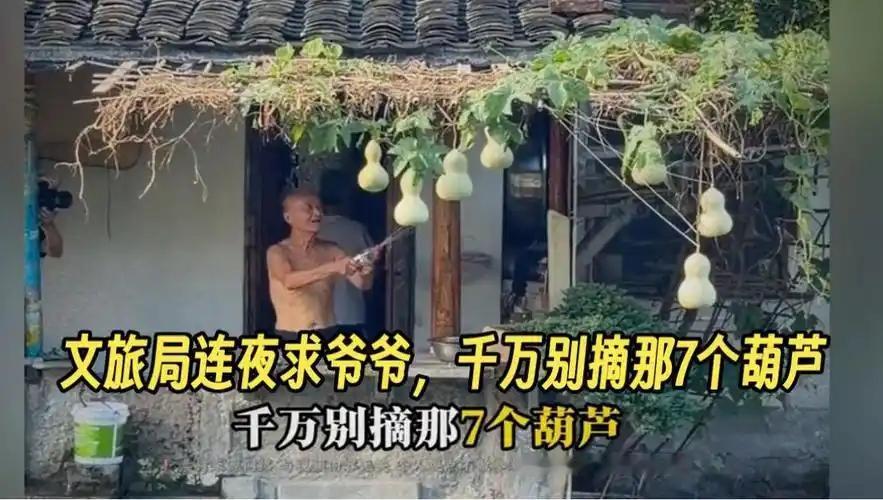 这下不怕打扰休息了？绍兴“葫芦娃爷爷”前几天才连夜摘掉葫芦，结果一周都没