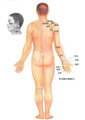一条会说心里话的经络——小肠经