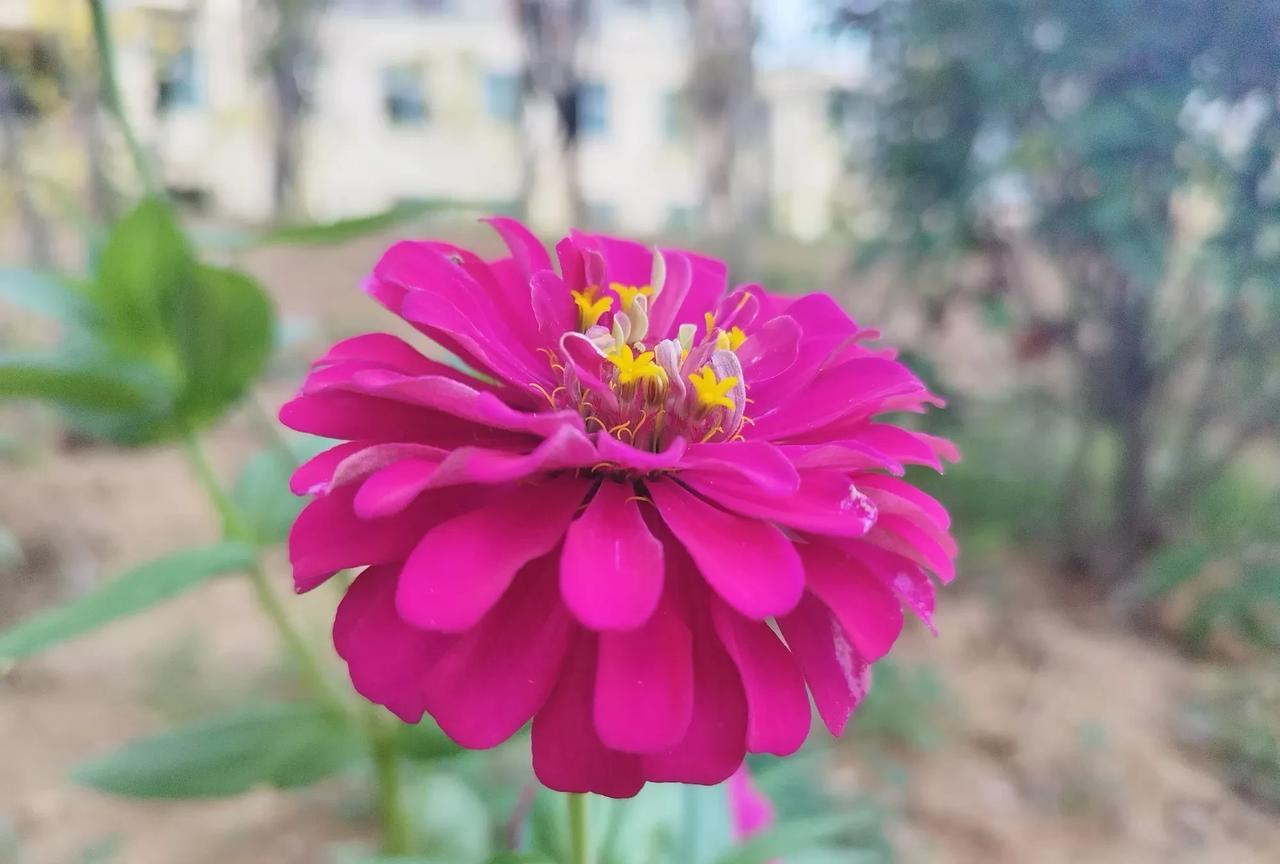 近段时间，最大的感悟是：不能轻易催婚，也不要随便劝别人不要离婚了。之前，不管是